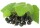 Ribes nigrum Hedda (schwarze Johannisbeere)